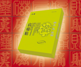 漢磁灸——肩痛貼 