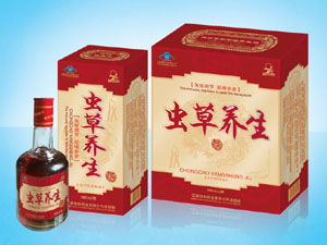 蟲(chóng)草養(yǎng)生酒 