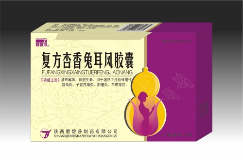 復(fù)方杏香兔耳風膠囊 