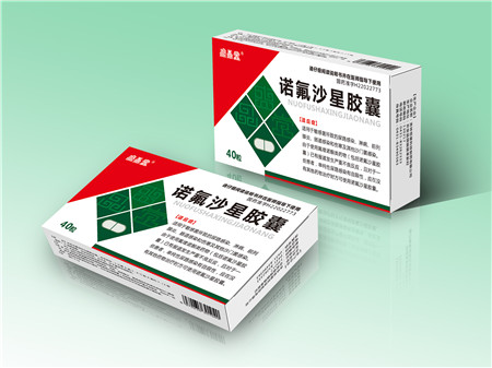 諾氟沙星膠囊 