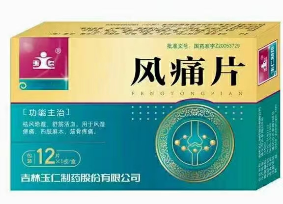 風(fēng)痛片 
