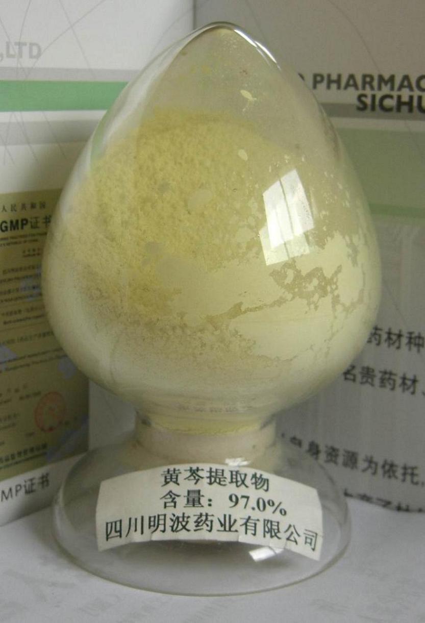 GMP認證企業(yè)供應黃芩提取物 