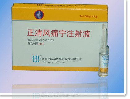 正清風痛寧注射液 